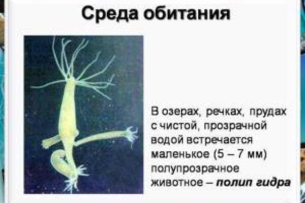 Кракен вход на сайт